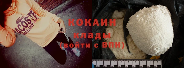крисы Баксан