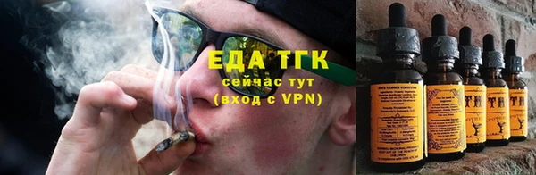 крисы Баксан