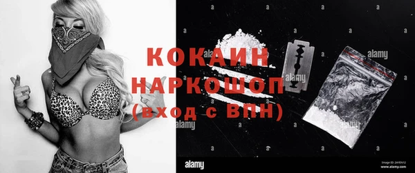 крисы Баксан