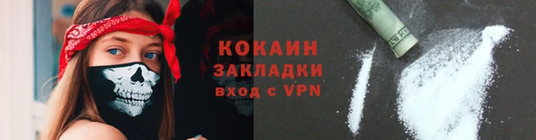 крисы Баксан