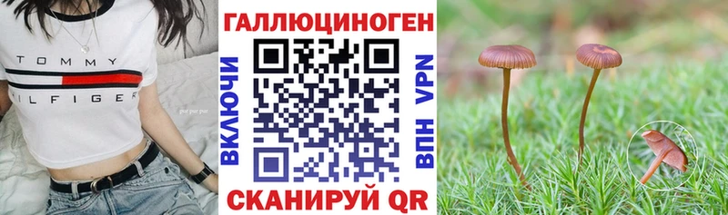 дарк нет состав  blacksprut ссылка  Олёкминск  Галлюциногенные грибы Cubensis 
